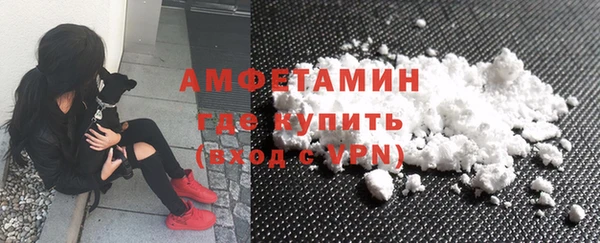 молекула духа Дмитриев