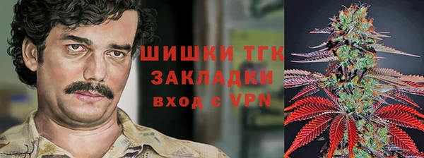 молекула духа Дмитриев
