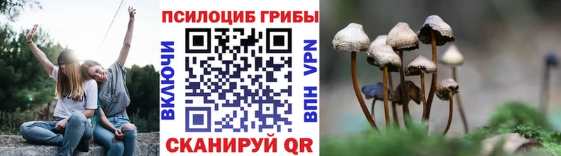 Галлюциногенные грибы GOLDEN TEACHER Купить Иннополис